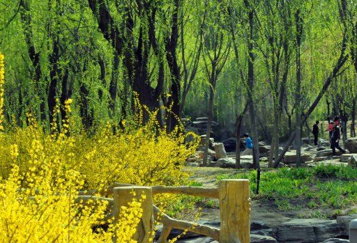 清明踏青回来啦，要订矿用钻机的尽管来吧